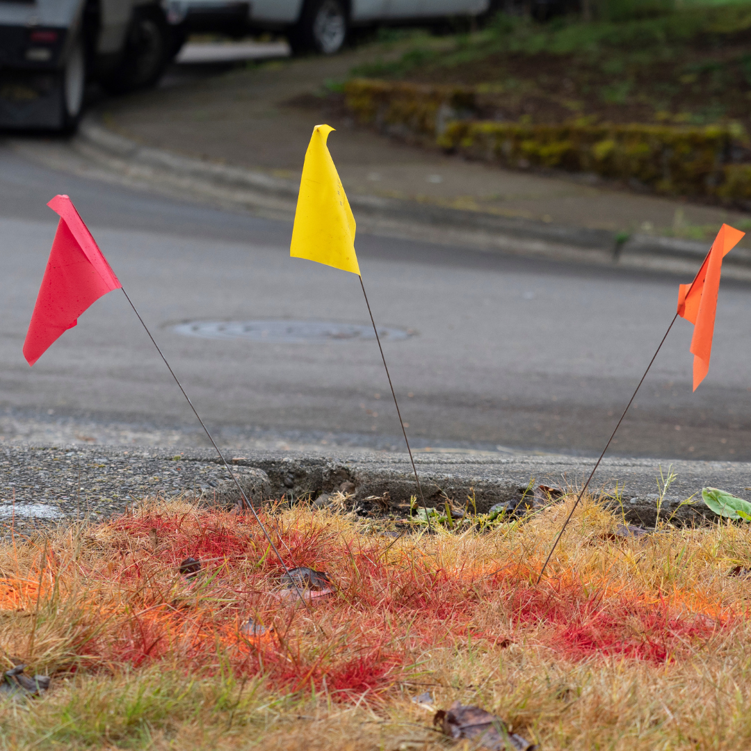 Underground utility flags near the roadside